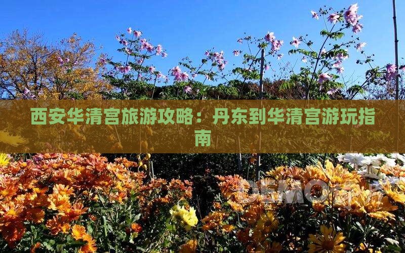 丹东到西安华清宫攻略