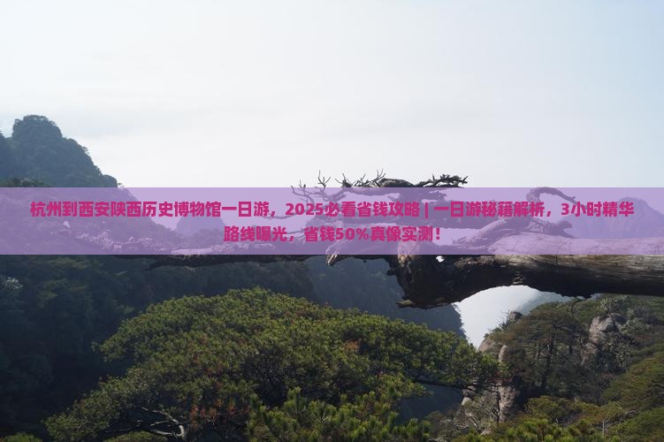 杭州到西安陕西历史博物馆一日游