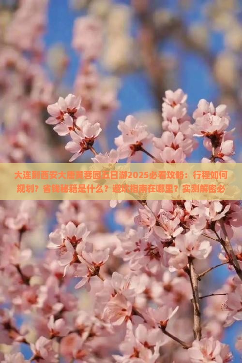 大连到西安大唐芙蓉园五日游 大连到西安大唐芙蓉园五日游