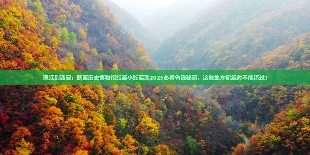 怒江到西安陕西历史博物馆旅游小吃