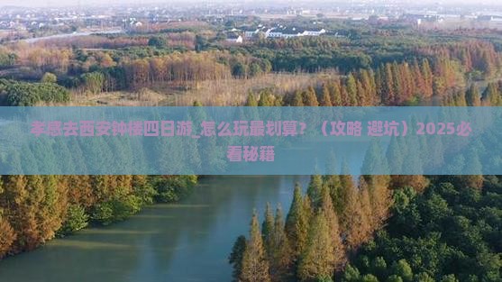 孝感去西安钟楼四日游