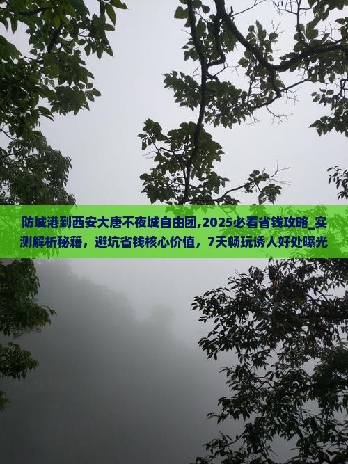 防城港到西安大唐不夜城自由团
