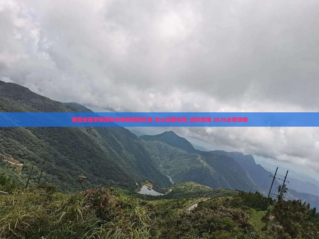 南阳去西安陕西历史博物馆四日游