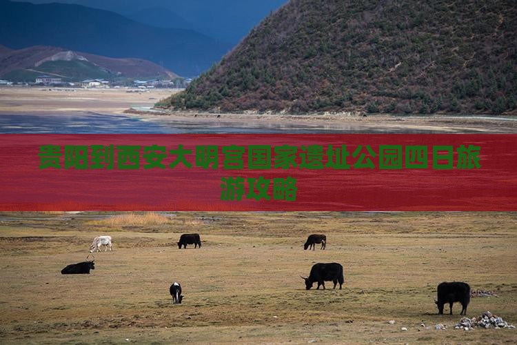 贵阳到西安大明宫国家遗址公园四日游