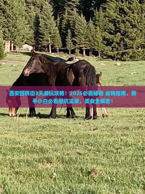 三月到西安回民街旅游