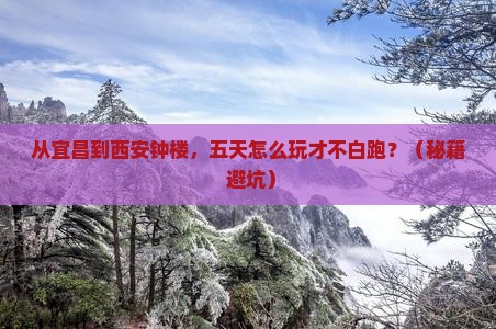 宜昌到西安钟楼五日游