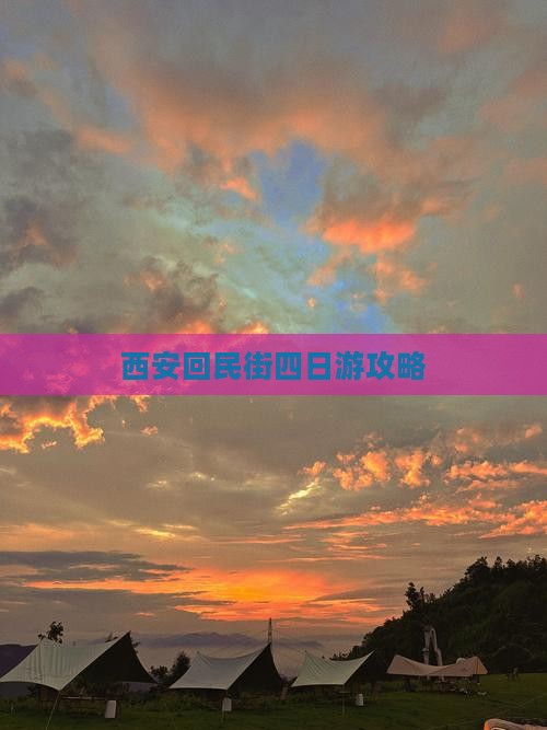 贵港去西安回民街四日游