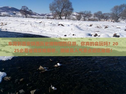 东莞到西安陕西历史博物馆四日游