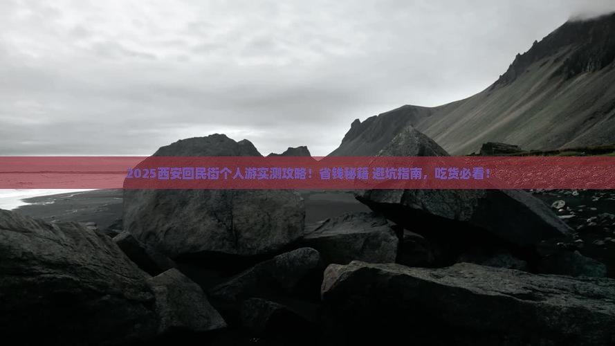 聊城到西安回民街个人游