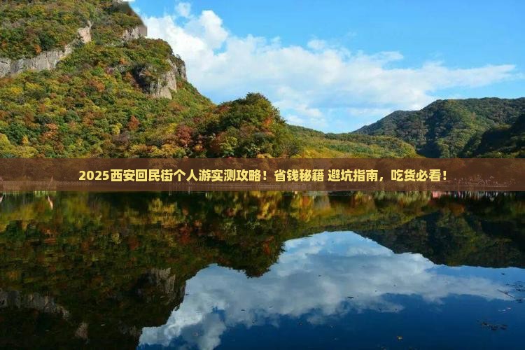 聊城到西安回民街个人游