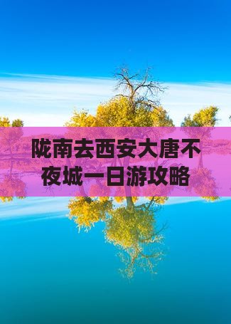 陇南去西安大唐不夜城一日游