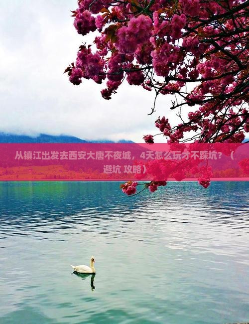 镇江去西安大唐不夜城四日游