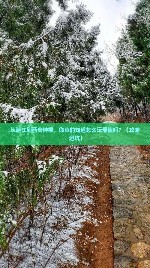 湛江去西安钟楼个人游