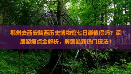 鄂州去西安陕西历史博物馆七日游