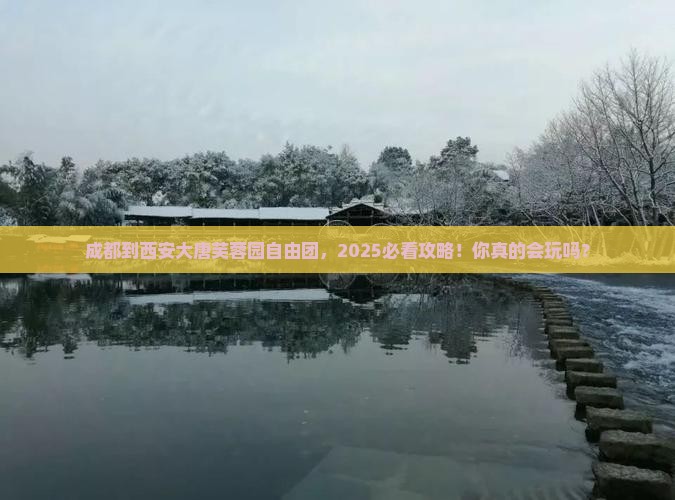 成都到西安大唐芙蓉园自由团