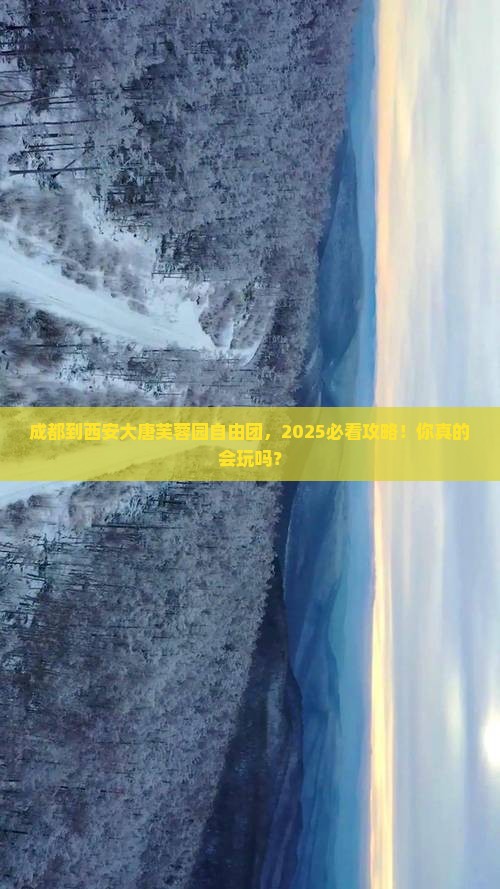 成都到西安大唐芙蓉园自由团