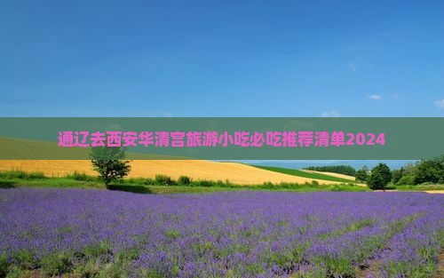 通辽去西安华清宫旅游小吃