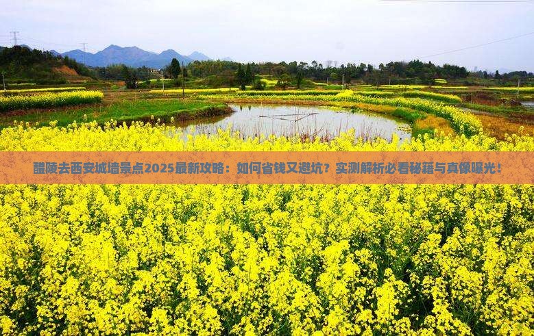 醴陵去西安城墙景点