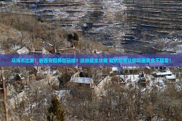 乌海市到西安回民街团体旅游