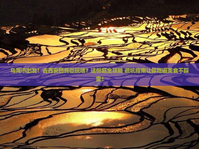乌海市到西安回民街团体旅游