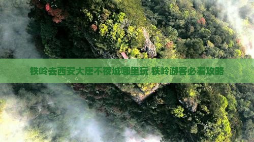 铁岭去西安大唐不夜城哪里玩