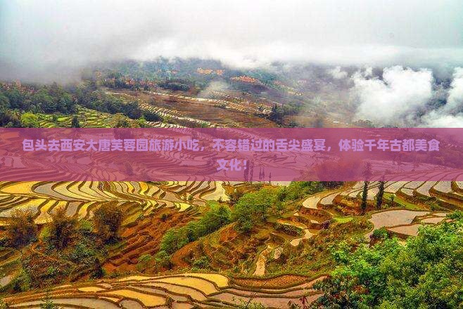 包头去西安大唐芙蓉园旅游小吃