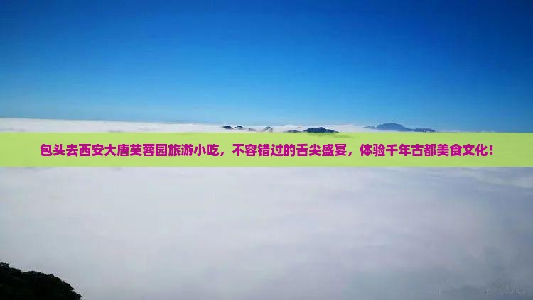 包头去西安大唐芙蓉园旅游小吃
