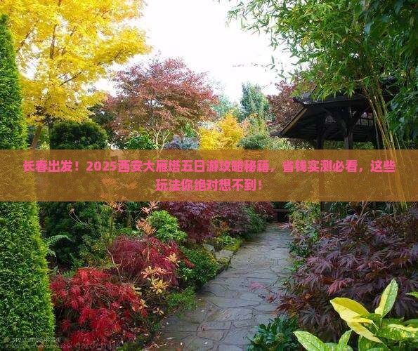 长春去西安大雁塔五日游
