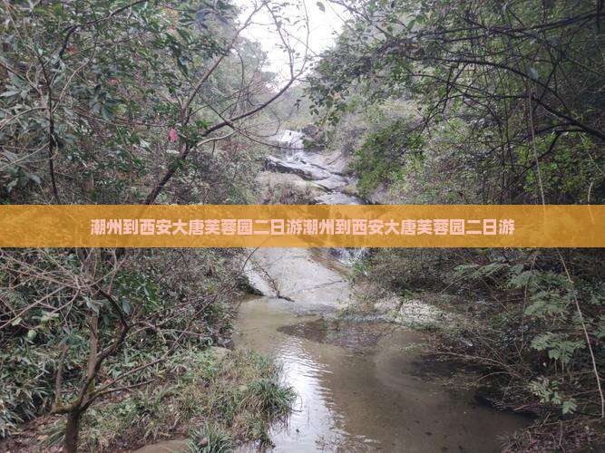 潮州到西安大唐芙蓉园二日游