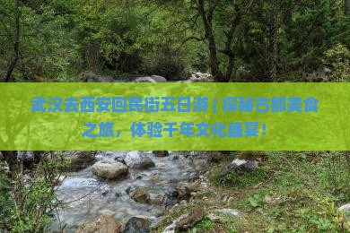 武汉去西安回民街五日游
