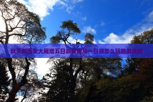秋天到西安大雁塔五日游