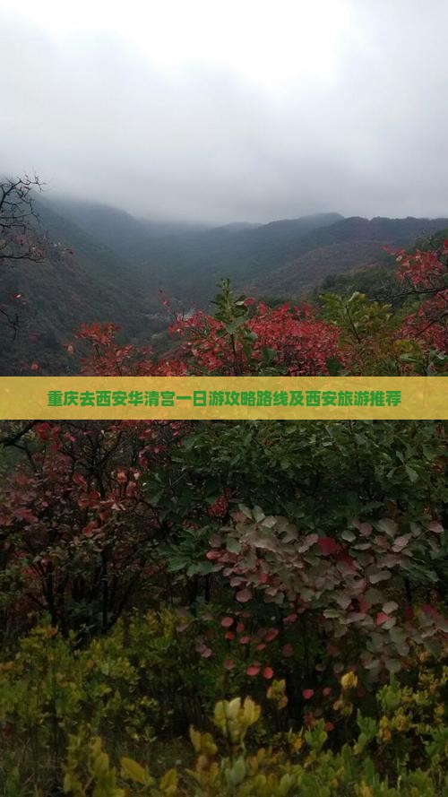 重庆去西安华清宫一日游