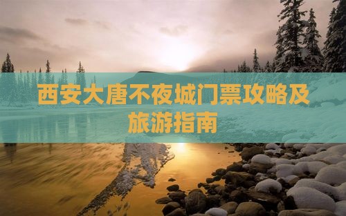 随州去西安大唐不夜城门票
