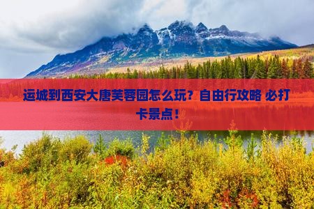 运城到西安大唐芙蓉园个人游