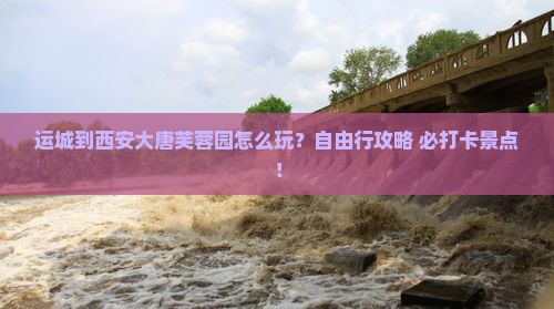 运城到西安大唐芙蓉园个人游