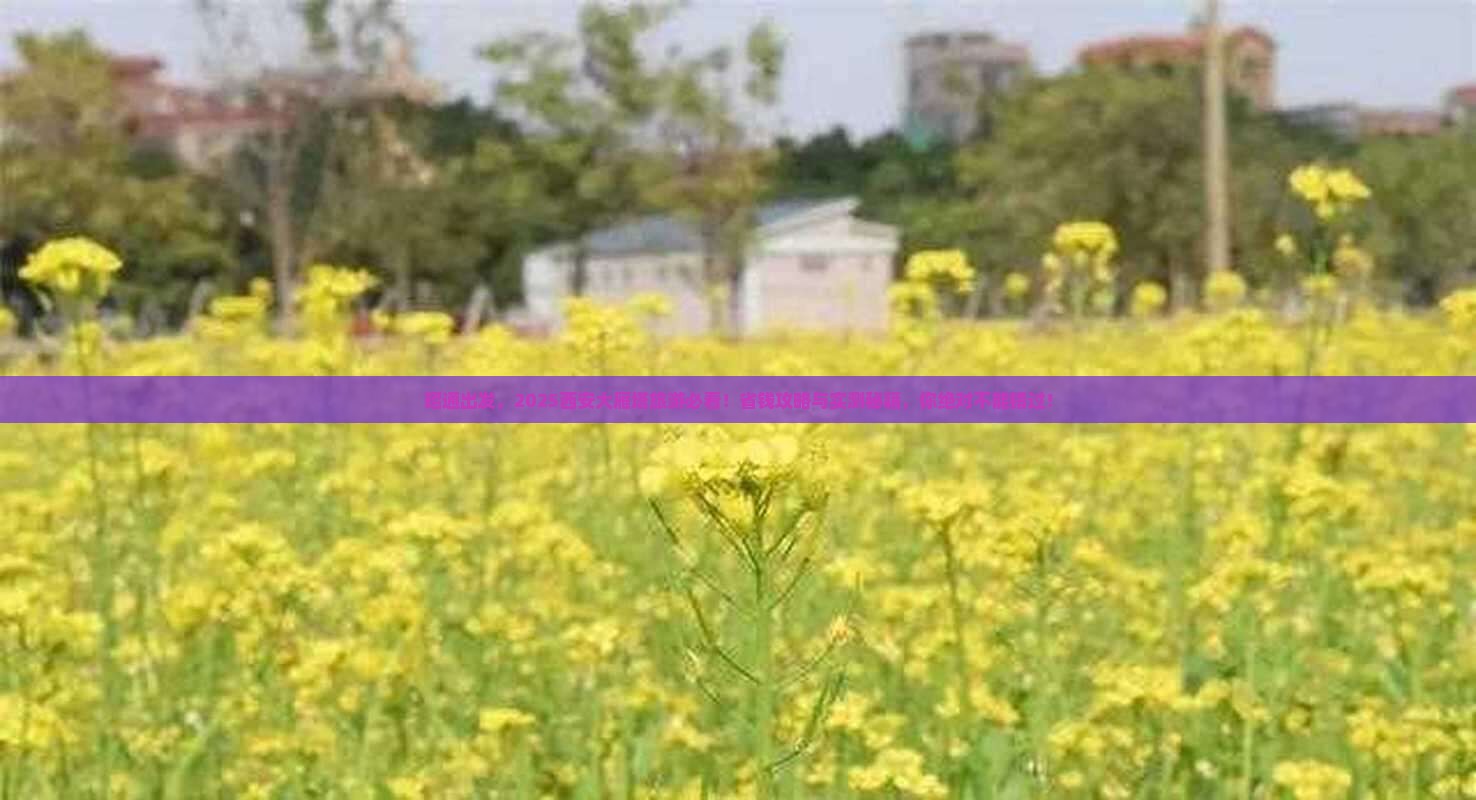 昭通去西安大雁塔旅游