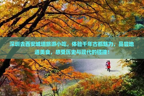 深圳去西安城墙旅游小吃