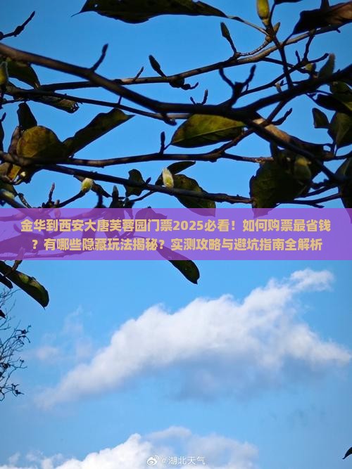 金华到西安大唐芙蓉园门票