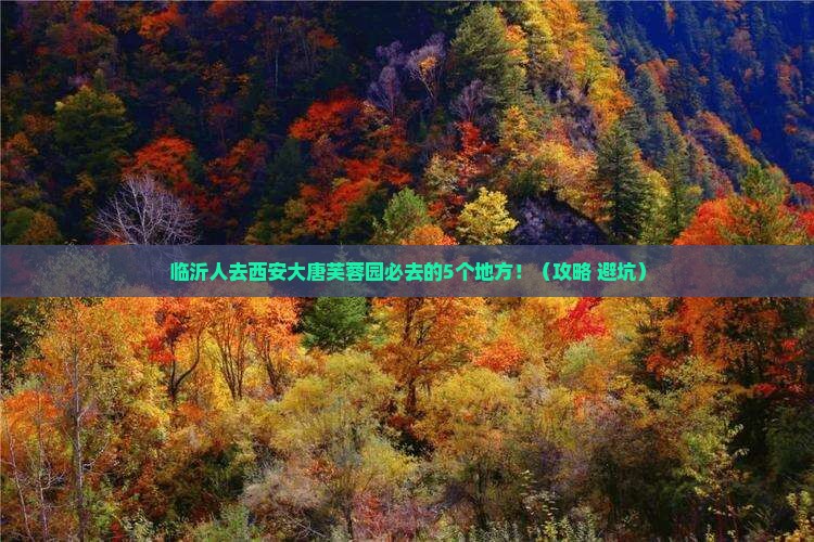 临沂去西安大唐芙蓉园必去地