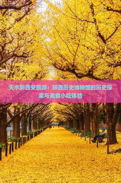 天水到西安陕西历史博物馆旅游小吃