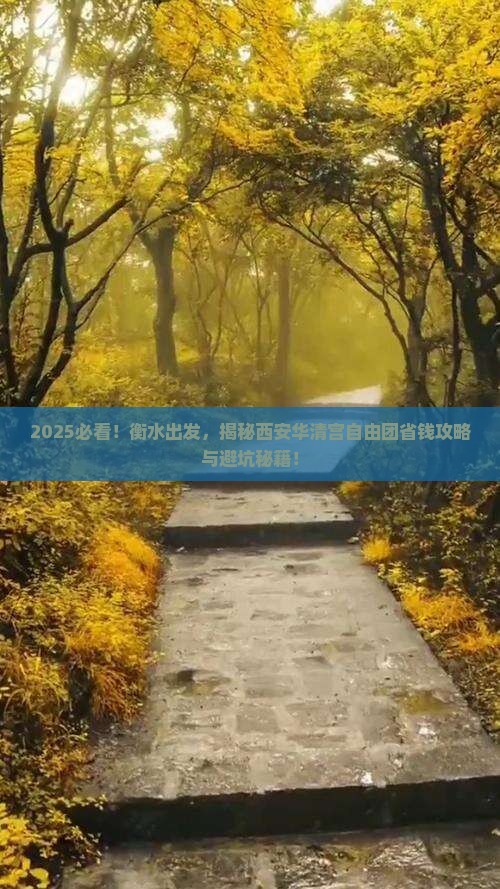 衡水到西安华清宫自由团