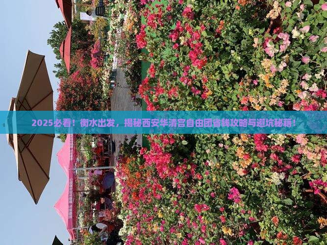 衡水到西安华清宫自由团