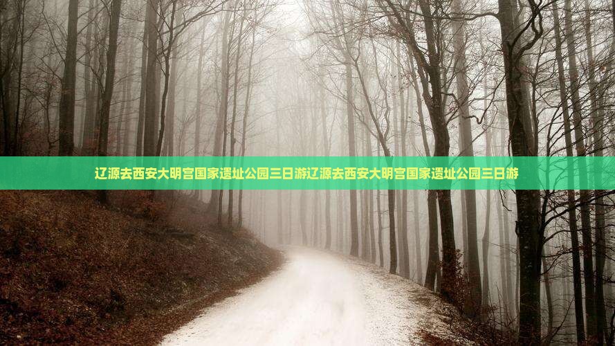 辽源去西安大明宫国家遗址公园三日游