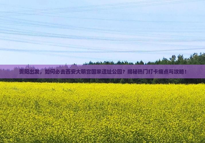 贵阳去西安大明宫国家遗址公园必去地