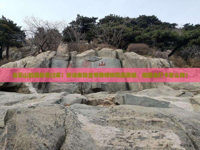 乐山去西安秦始皇帝陵博物院旅行社