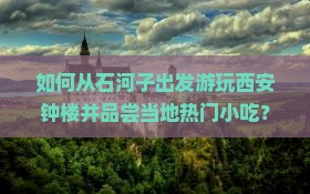 石河子去西安钟楼旅游小吃