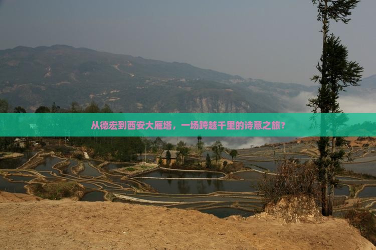 德宏去西安大雁塔旅游