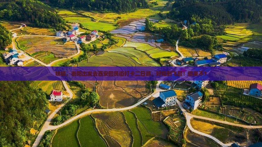 衡阳去西安回民街二日游