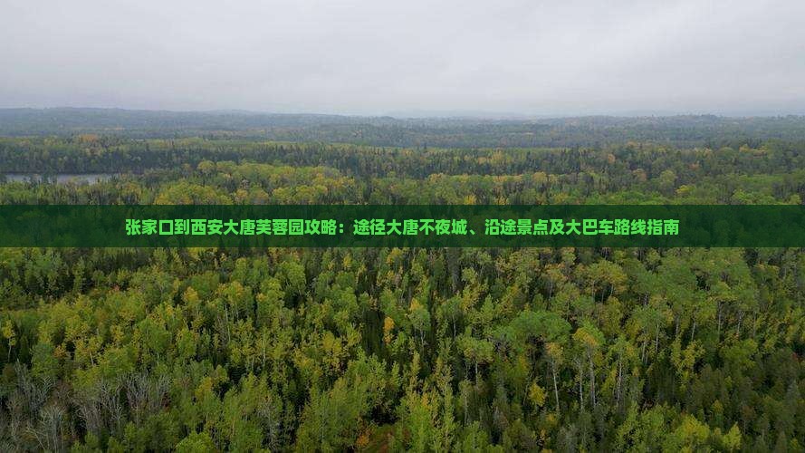 张家口到西安大唐芙蓉园攻略