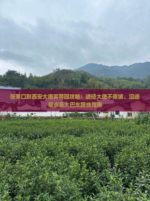 张家口到西安大唐芙蓉园攻略